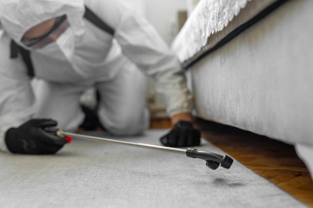 Professional Bed Bug Control technician working in Carlstadt, NJ