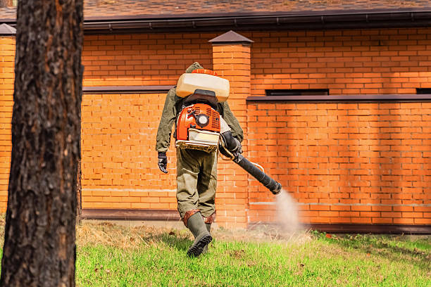 Trusted Emergency Pest Control service in Carlstadt, NJ - Nex Pest Control